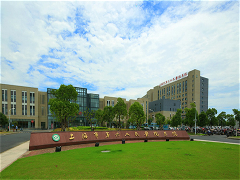 上海市第六人民医院临港院区封面图