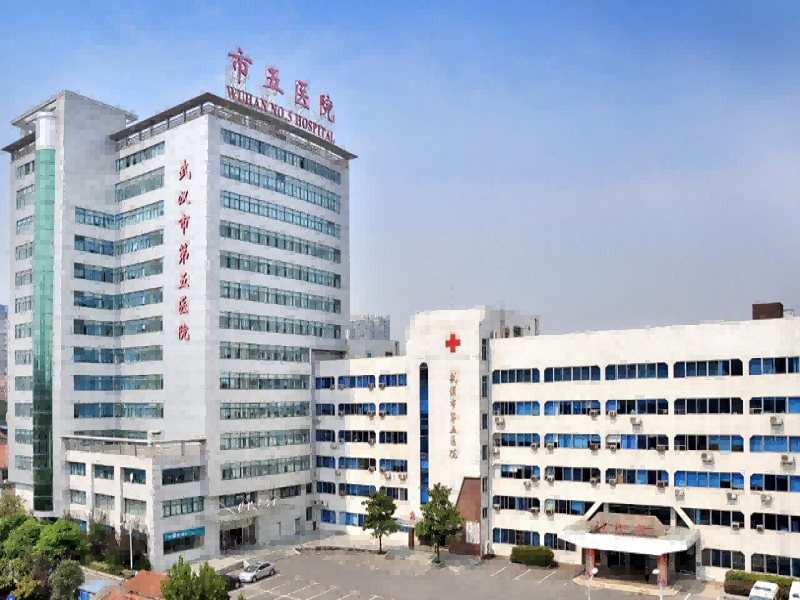 武汉市第五医院