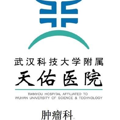 武汉科技大学附属天佑医院