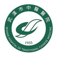 武汉市中医医院（汉阳院区）