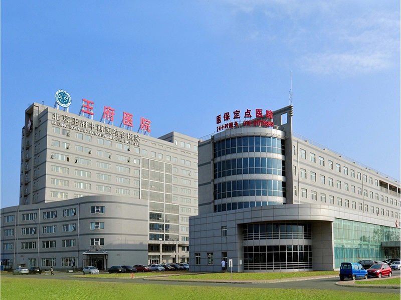 北京王府中西医结合医院