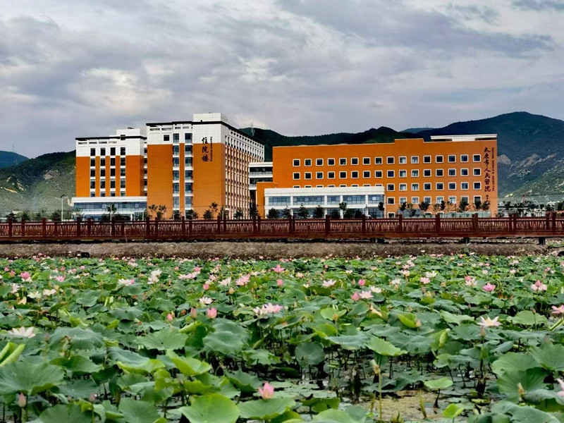 康康在线app